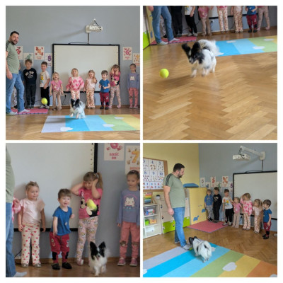 Zajęcia z pieskiem Kiwi 🐶