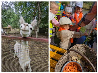 Owczarkowa Zagroda w Wąsoszu 🌷🐎🦙🦜🌲